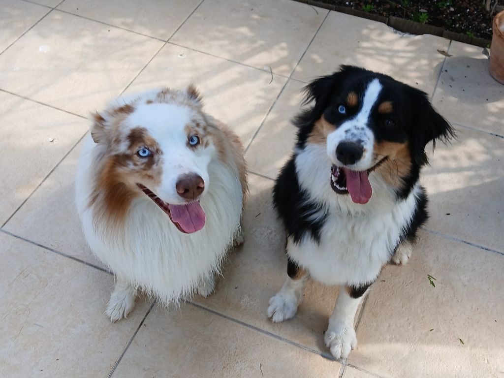 Naissance attendue pour février 2026